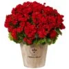 22" Red Geranium In Farmhouse Style Planter