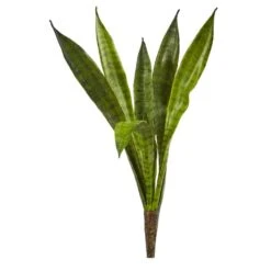 Snake Plant Pick, 6ct.