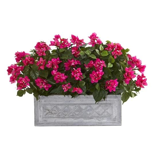 2.5ft. Pink Bougainvillea In Stone Planter 1 2.5ft. Pink Bougainvillea In Stone Planter