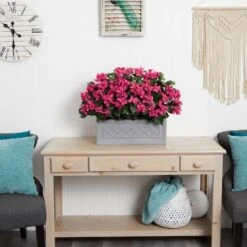 2.5ft. Pink Bougainvillea In Stone Planter 7 2.5ft. Pink Bougainvillea In Stone Planter -Michaels Shop D350247S 13