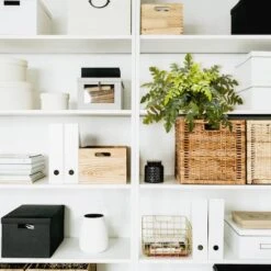 Holly Fern Bush -Michaels Shop D350260S 13