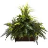 3ft. Mixed Grass & River Fern In Wood Planter