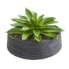 10" Large Succulent Artificial Plant In Decorative Bowl