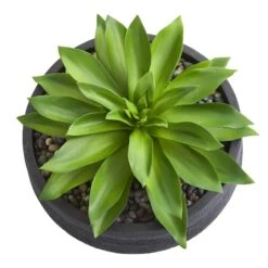 10" Large Succulent Artificial Plant In Decorative Bowl -Michaels Shop D350300S 12