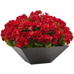 15" Red Geranium In Black Planter