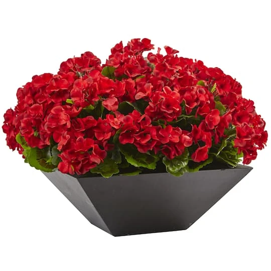 15" Red Geranium In Black Planter 1 15" Red Geranium In Black Planter