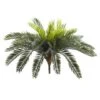 Green Cycas Pick, 2ct.