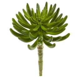 Succulent Pick, 6ct. -Michaels Shop D350446S 1 1