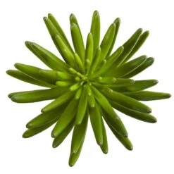 Succulent Pick, 6ct. -Michaels Shop D350446S 2