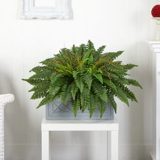 2.5ft. Boston Fern Plant In Stone Planter 3 2.5ft. Boston Fern Plant In Stone Planter - Image 3