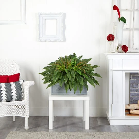 2.5ft. Boston Fern Plant In Stone Planter 4 2.5ft. Boston Fern Plant In Stone Planter - Image 4