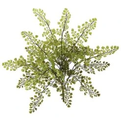 Maiden Hair Fern Spray, 12ct. -Michaels Shop D350481S 2