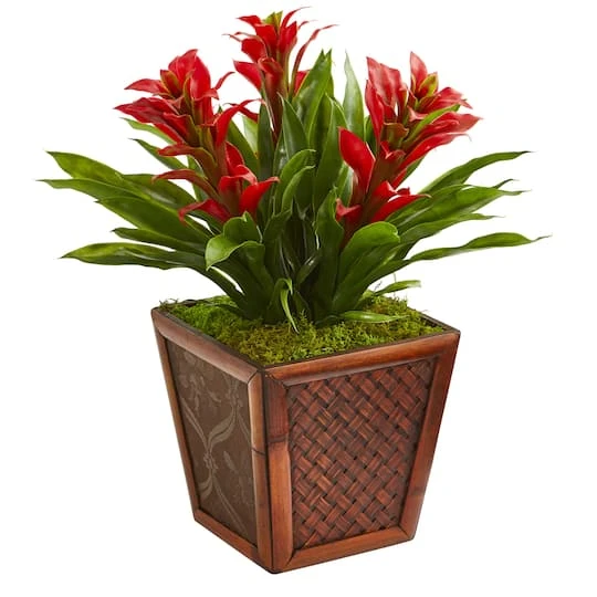 18'' Red Triple Bromeliad Plant In Brown Decorative Planter 2 18'' Red Triple Bromeliad Plant In Brown Decorative Planter - Image 2