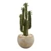 2.5ft. Cactus In Bowl Planter