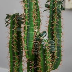 2.5ft. Cactus In Bowl Planter 9 2.5ft. Cactus In Bowl Planter -Michaels Shop D350775S 14