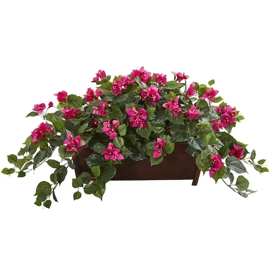 18" Bougainvillea In Decorative Planter 2 18" Bougainvillea In Decorative Planter - Image 2