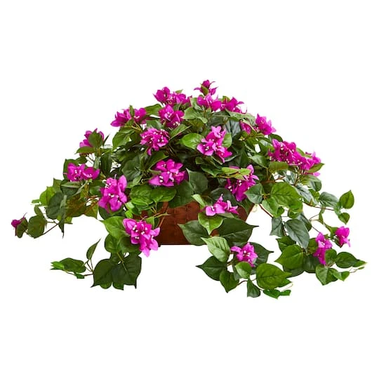 17" Purple Bougainvillea In Metal Planter 1 17" Purple Bougainvillea In Metal Planter