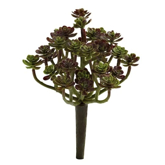 Sedum Succulent Plant, 8ct. 1 Sedum Succulent Plant, 8ct.