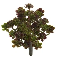 Sedum Succulent Plant, 8ct. 5 Sedum Succulent Plant, 8ct. -Michaels Shop D350942S 2