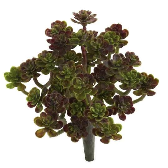 Sedum Succulent Plant, 8ct. 3 Sedum Succulent Plant, 8ct. - Image 3