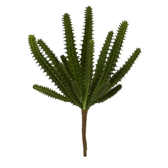 Finger Cactus Plant, 12ct. 2 Finger Cactus Plant, 12ct. - Image 2