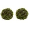 Green Wire Vine Bush, 2ct.