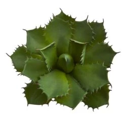 Green Succulent Pick, 2ct. -Michaels Shop D351217S 3