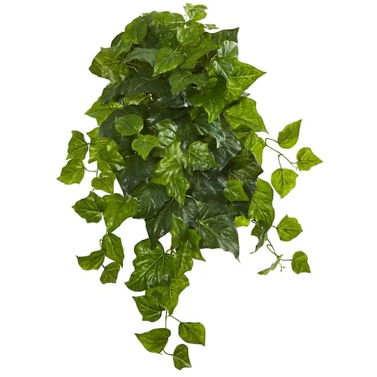 Green Deluxe London Ivy Hanging Bush, 3ct. 2 Green Deluxe London Ivy Hanging Bush, 3ct. - Image 2