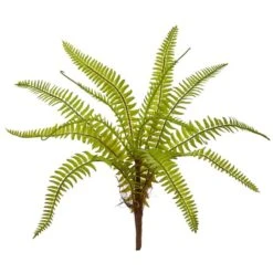 Green Fern Plant Stem, 12ct. -Michaels Shop D351262S 1 1