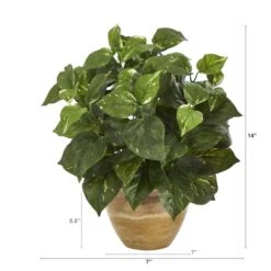 14" Pothos Plant In Ceramic Planter -Michaels Shop D351341S 2