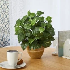 14" Pothos Plant In Ceramic Planter -Michaels Shop D351341S 3
