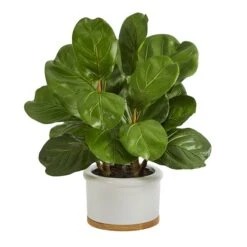 15" Fiddle Leaf Tree In White Planter