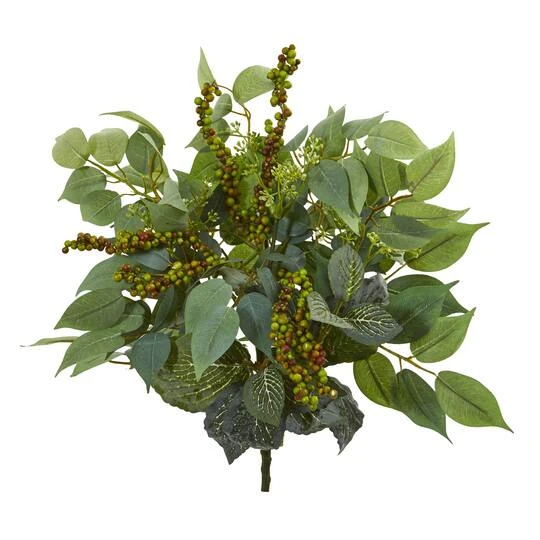 Green Mixed Ficus, Fittonia & Berries Bush, 6ct. 2 Green Mixed Ficus, Fittonia & Berries Bush, 6ct. - Image 2