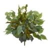 Green Mixed Ficus, Fittonia & Berries Bush, 6ct.