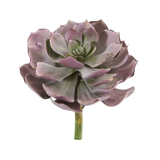 8'' Echeveria Succulent Pick, 6ct. 2 8'' Echeveria Succulent Pick, 6ct. - Image 2
