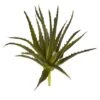 Green Aloe Pick, 6ct.