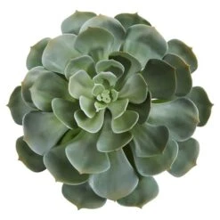 Green Giant Echeveria Succulent Pick, 2ct. -Michaels Shop D352150S 2