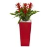 2ft. Red Triple Bromeliad In Red Planter