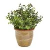10" Eucalyptus & Sedum Succulent Plant In Ceramic Planter