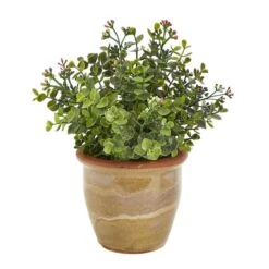10" Eucalyptus & Sedum Succulent Plant In Ceramic Planter