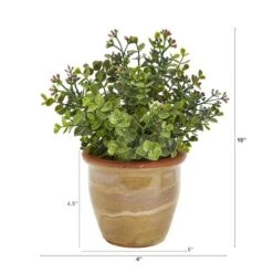10" Eucalyptus & Sedum Succulent Plant In Ceramic Planter -Michaels Shop D352406S 2