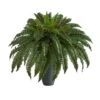 2.5ft. Boston Fern Plant In Gray Planter