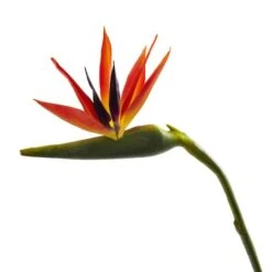 Large Artificial Bird Of Paradise Stem, 4ct. 6 Large Artificial Bird Of Paradise Stem, 4ct. -Michaels Shop D386496S 2