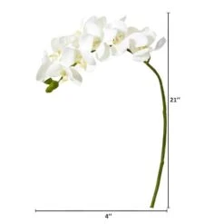 Moth Orchid Stem, 6ct. White 5 Moth Orchid Stem, 6ct. White -Michaels Shop D386498S 2