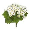 White Daisy Flower Bush, 6ct.