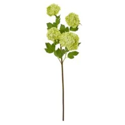 Green Snowball Hydrangea Stem, 3ct. -Michaels Shop D386540S 11 1
