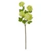 Green Snowball Hydrangea Stem, 3ct.