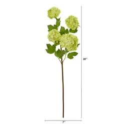 Green Snowball Hydrangea Stem, 3ct. -Michaels Shop D386540S 12