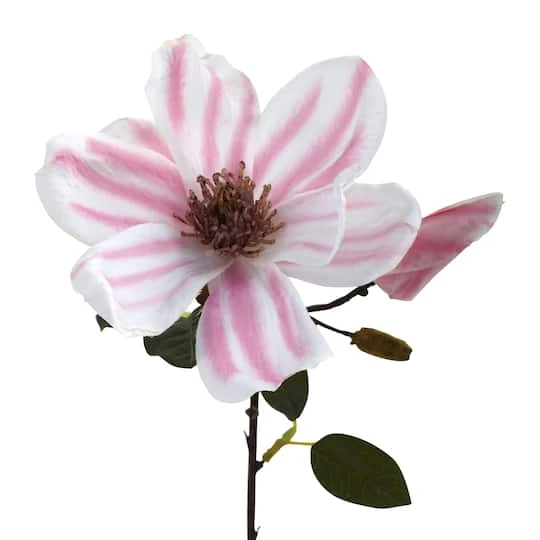 Pink Magnolia Stem, 18ct. 3 Pink Magnolia Stem, 18ct. - Image 3