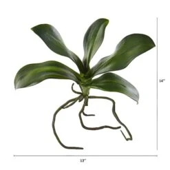 7" Phalaenopsis Orchid Leaf Artificial Flower (Set Of 6) -Michaels Shop D386566S 12